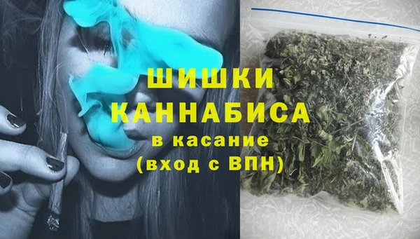 шишки Арсеньев