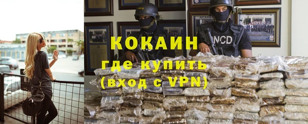шишки Арсеньев