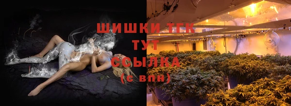 шишки Арсеньев